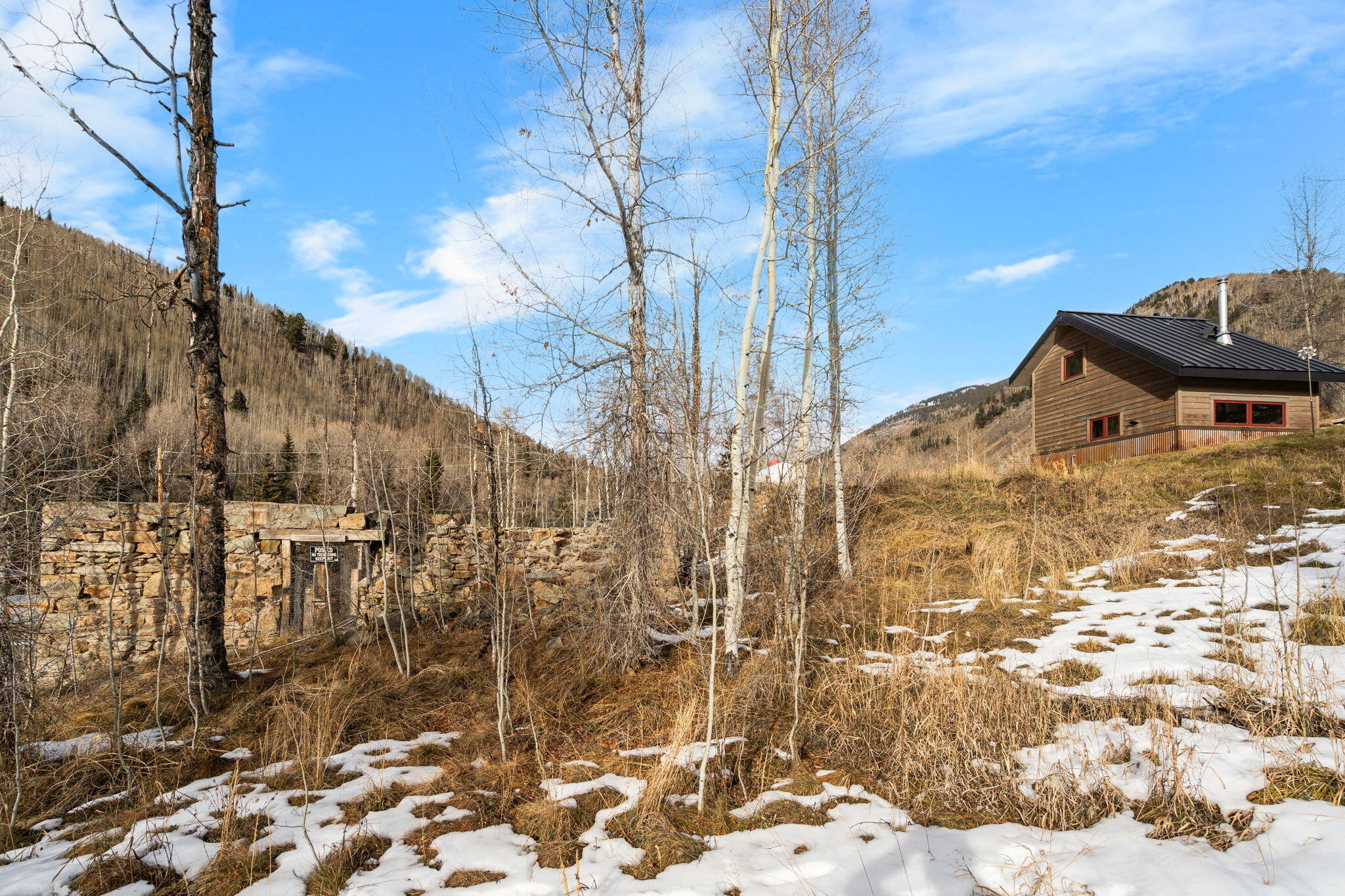 135 West Soda Street Rico, CO 81332 - Photo 35 of 47 a view of a backyard of the house