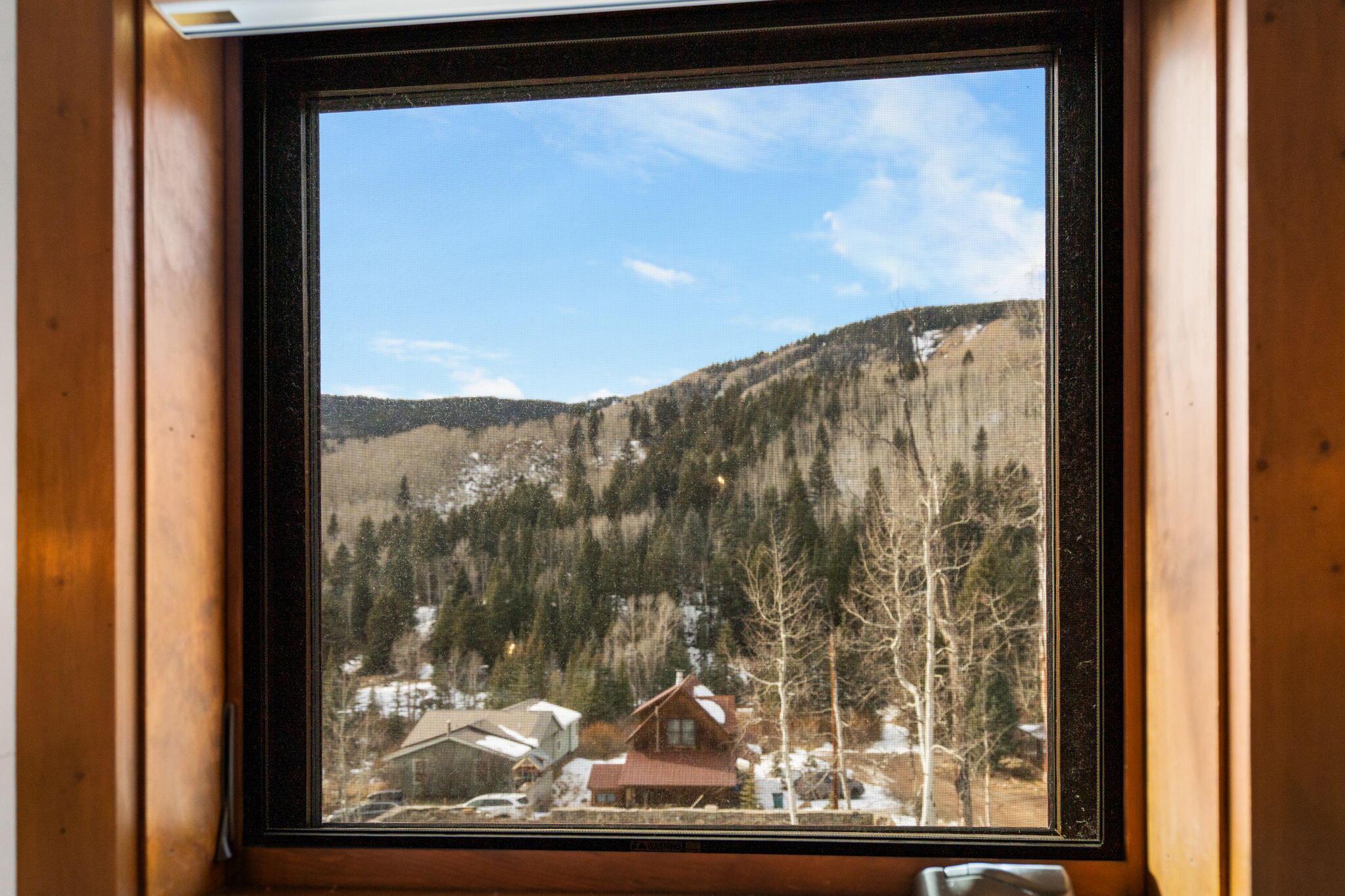 135 West Soda Street Rico, CO 81332 - Photo 10 of 47 a view of a window