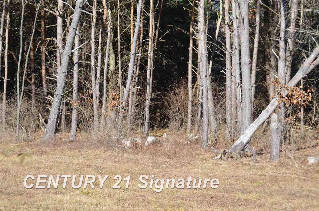 East Pine River Road Midland, MI 48640 - Photo 13 of 27 Gallery Image 13