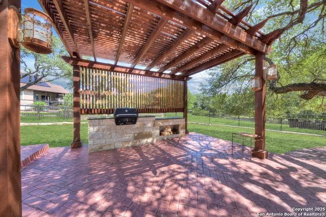 a view of a yard with plants and a large tree