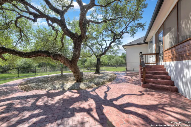 a view of a yard with a tree