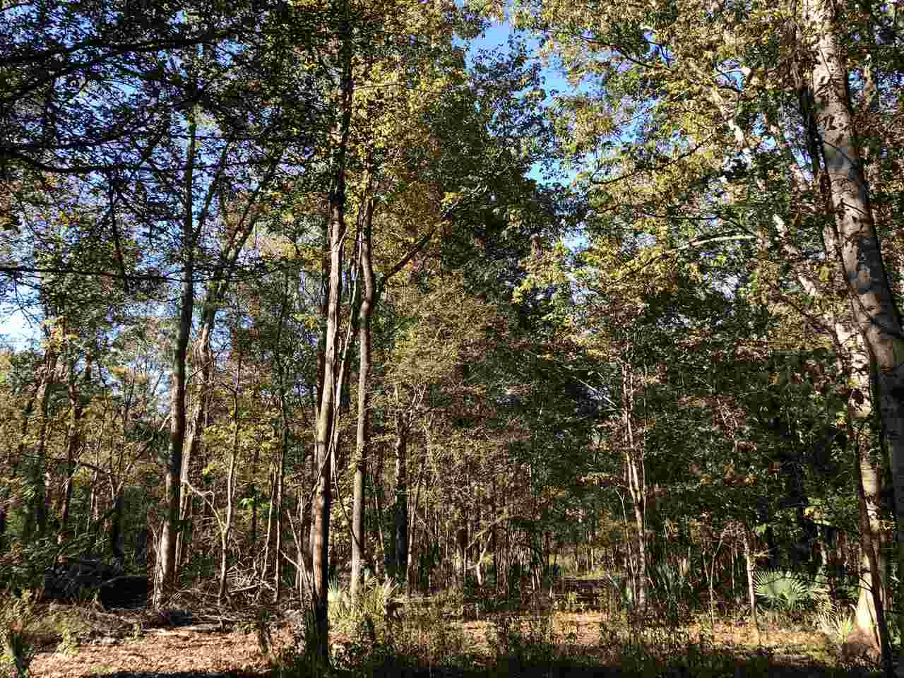 0 Flowers Road Rolling Fork, MS 39159 - Photo 1 of 23 Photo 1