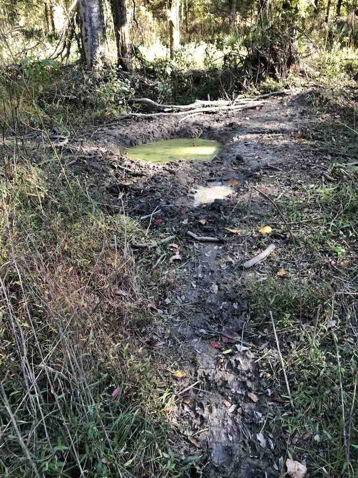 0 Flowers Road Rolling Fork, MS 39159 - Photo 11 of 23 Photo 11