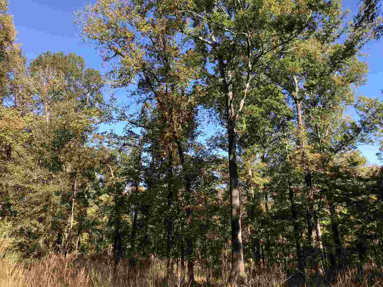 0 Flowers Road Rolling Fork, MS 39159 - Photo 12 of 23 Photo 12