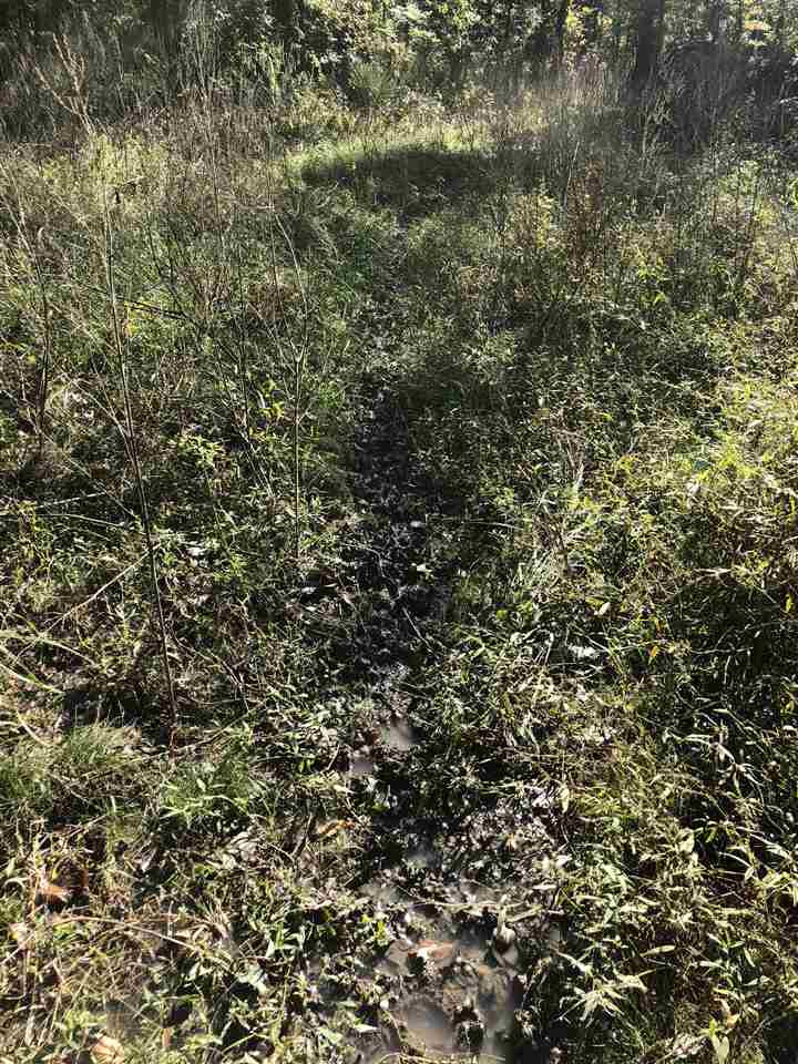 0 Flowers Road Rolling Fork, MS 39159 - Photo 13 of 23 Photo 13
