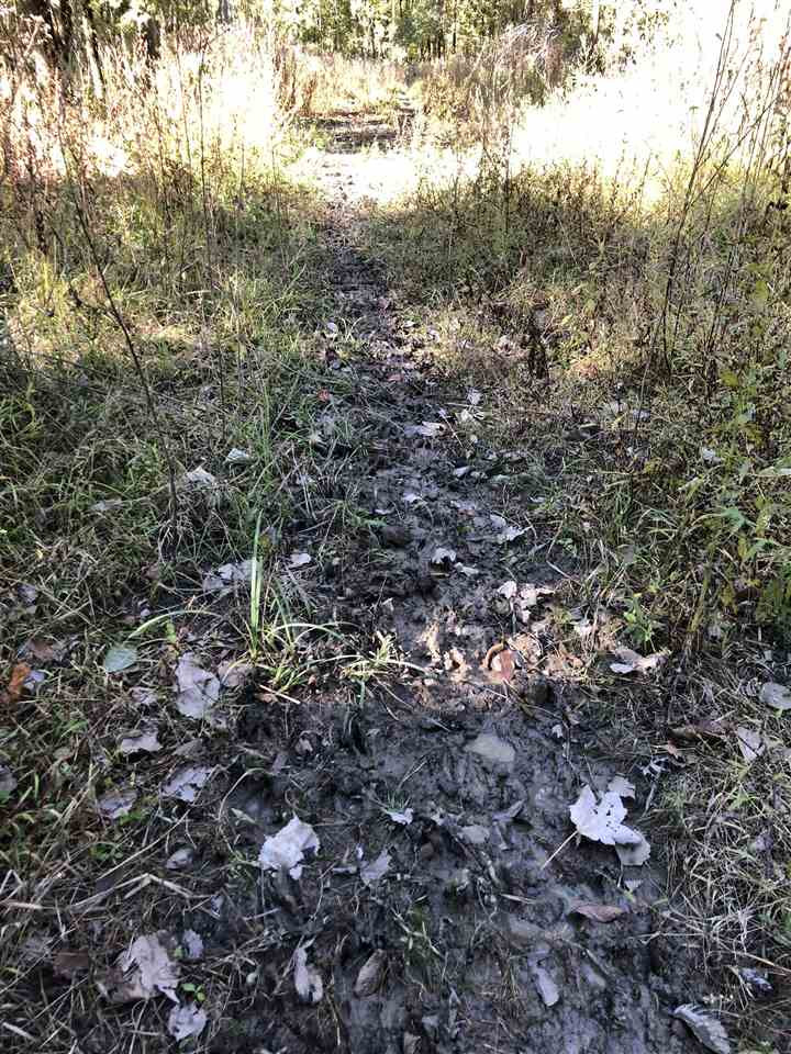 0 Flowers Road Rolling Fork, MS 39159 - Photo 14 of 23 Photo 14