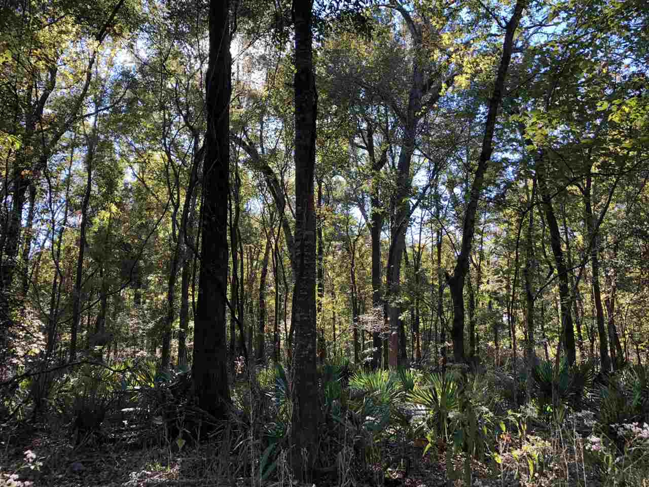 0 Flowers Road Rolling Fork, MS 39159 - Photo 15 of 23 Photo 15
