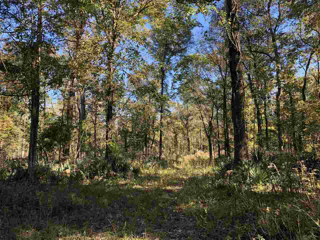 0 Flowers Road Rolling Fork, MS 39159 - Photo 16 of 23 Photo 16