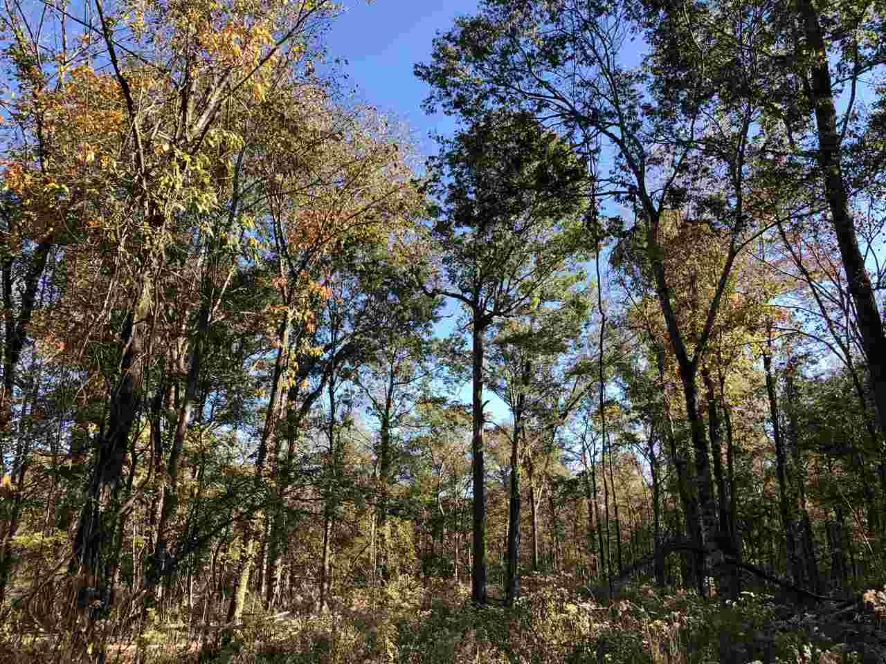 0 Flowers Road Rolling Fork, MS 39159 - Photo 17 of 23 Photo 17