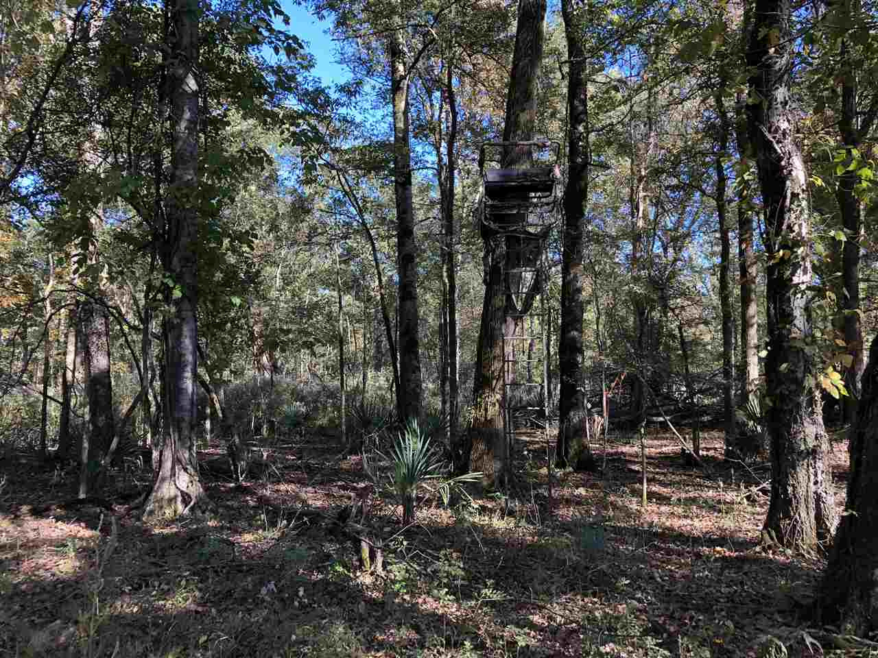 0 Flowers Road Rolling Fork, MS 39159 - Photo 18 of 23 Photo 18
