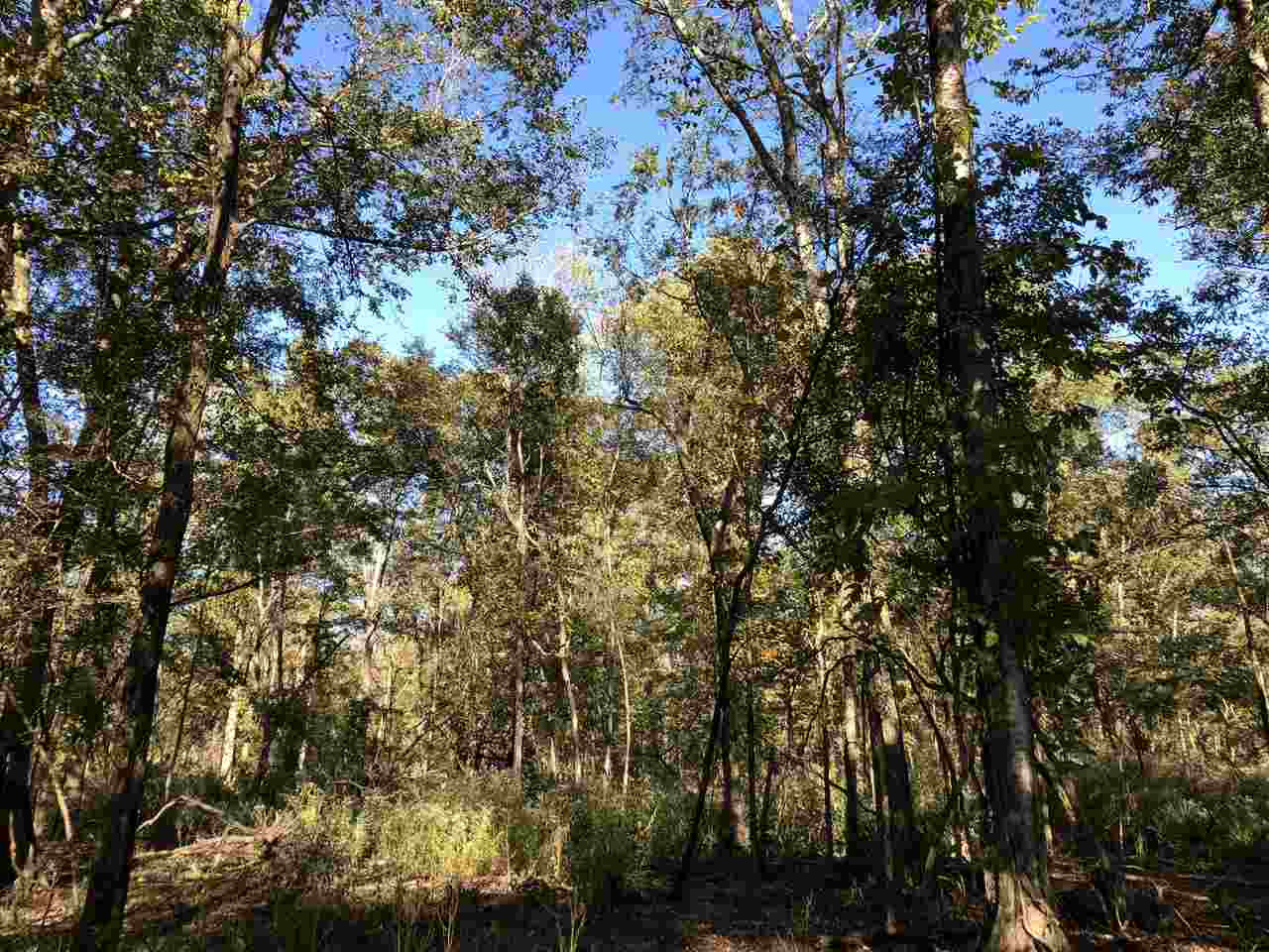 0 Flowers Road Rolling Fork, MS 39159 - Photo 19 of 23 Photo 19