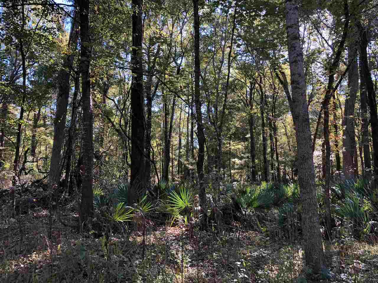 0 Flowers Road Rolling Fork, MS 39159 - Photo 20 of 23 Photo 20