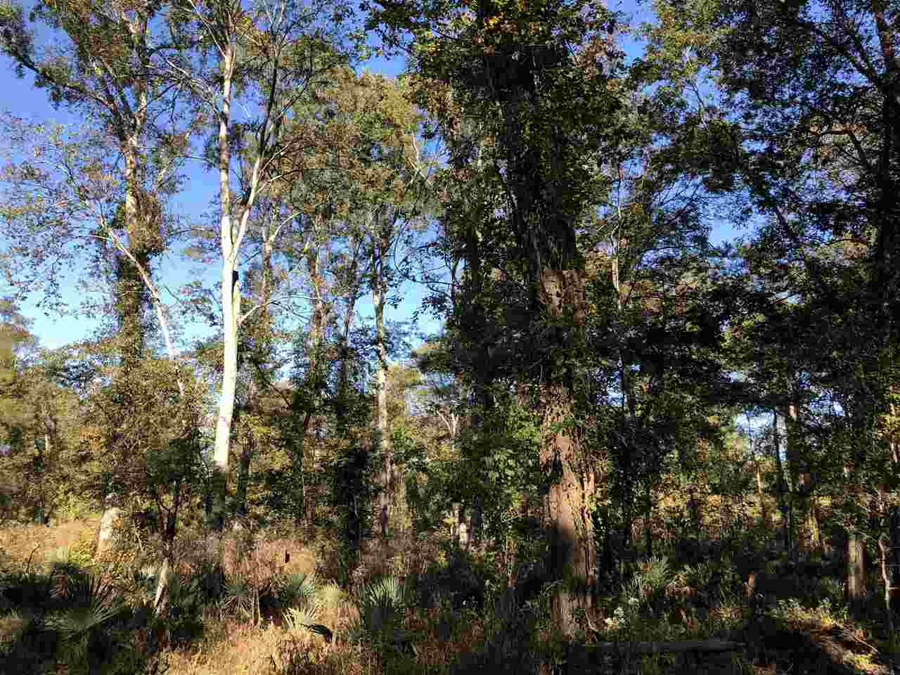 0 Flowers Road Rolling Fork, MS 39159 - Photo 2 of 23 Photo 2