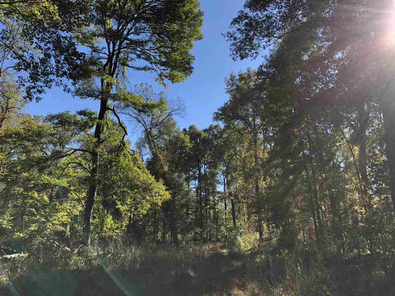 0 Flowers Road Rolling Fork, MS 39159 - Photo 21 of 23 Photo 21
