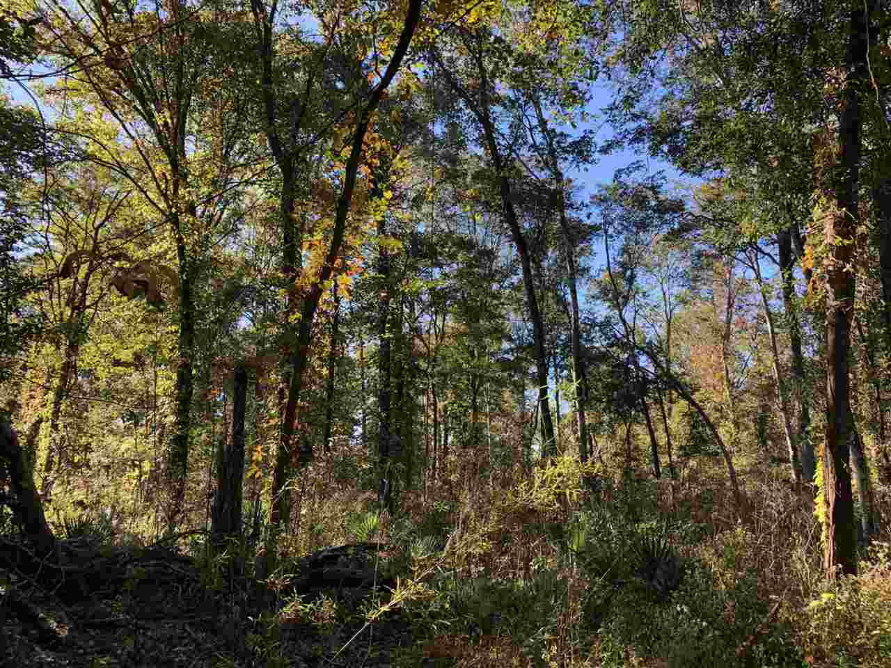 0 Flowers Road Rolling Fork, MS 39159 - Photo 22 of 23 Photo 22