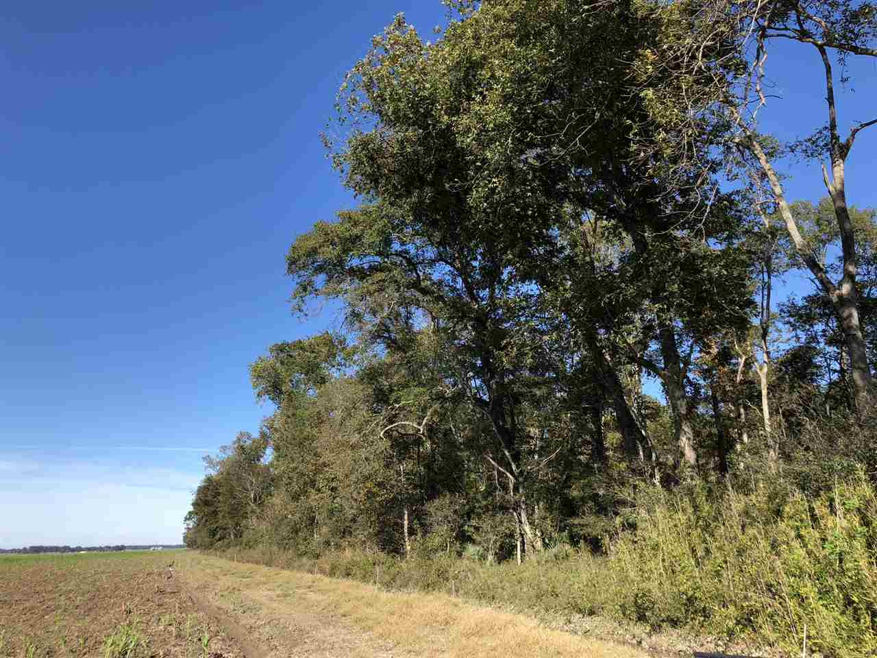 0 Flowers Road Rolling Fork, MS 39159 - Photo 23 of 23 Photo 23