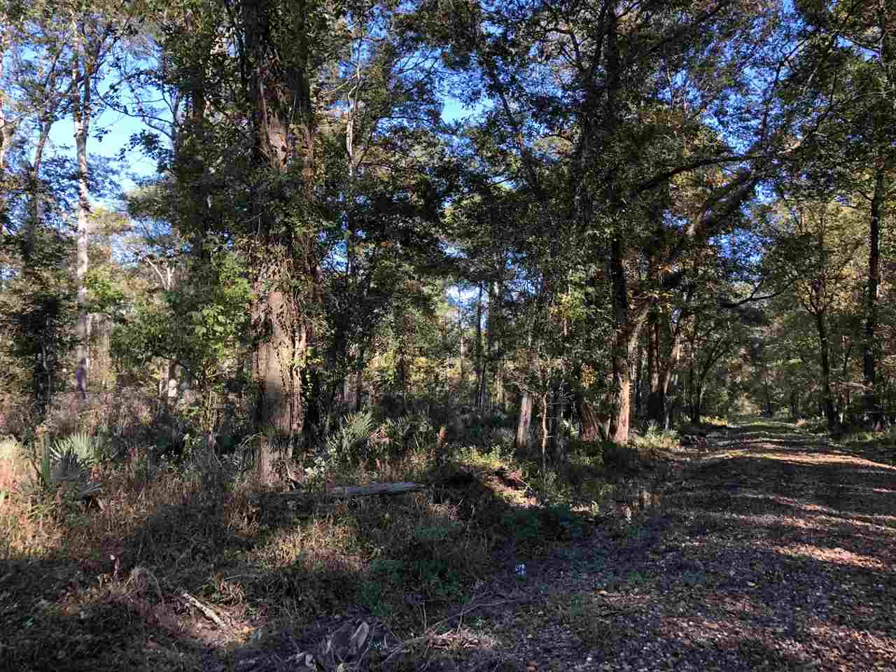 0 Flowers Road Rolling Fork, MS 39159 - Photo 3 of 23 Photo 3