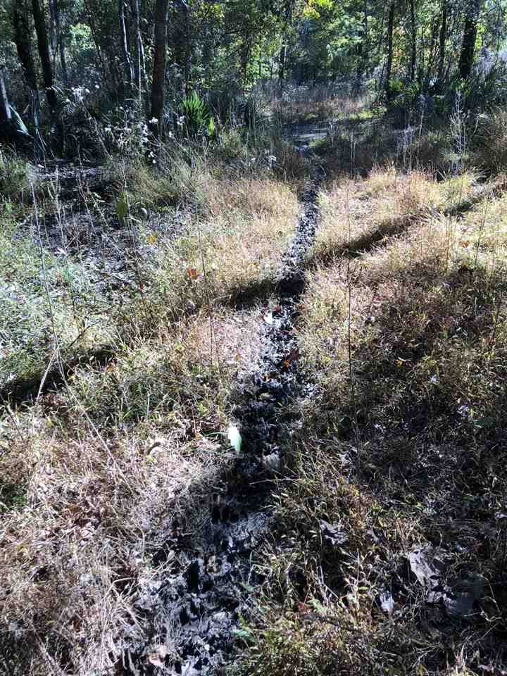 0 Flowers Road Rolling Fork, MS 39159 - Photo 4 of 23 Photo 4
