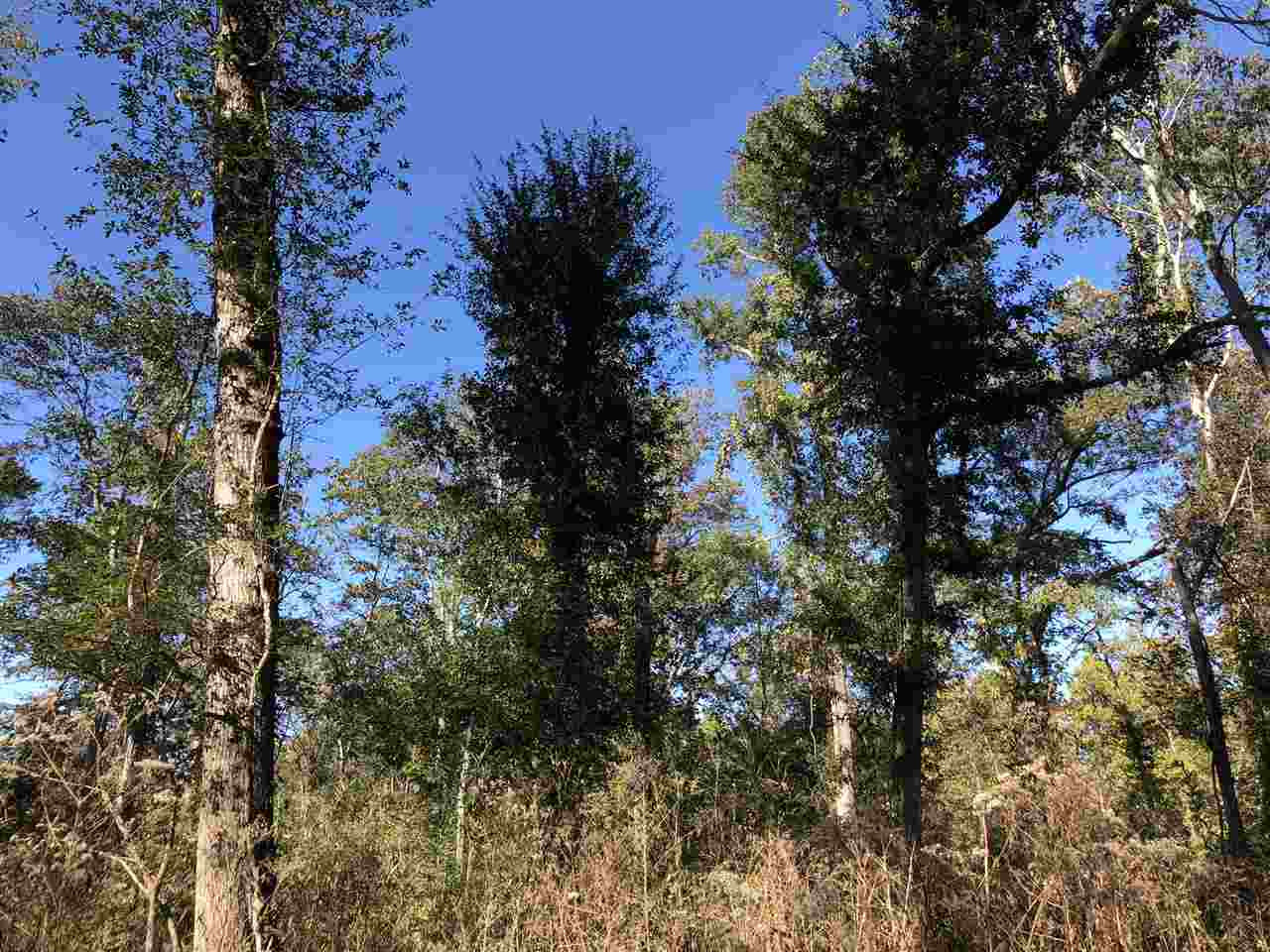 0 Flowers Road Rolling Fork, MS 39159 - Photo 5 of 23 Photo 5