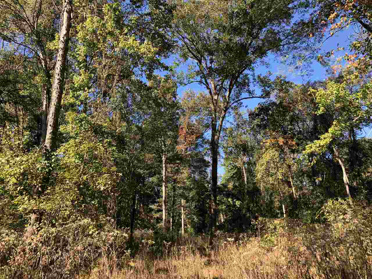 0 Flowers Road Rolling Fork, MS 39159 - Photo 7 of 23 Photo 7