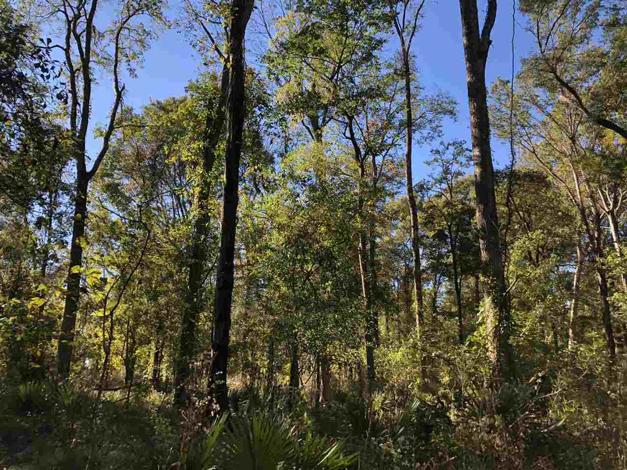 0 Flowers Road Rolling Fork, MS 39159 - Photo 8 of 23 Photo 8