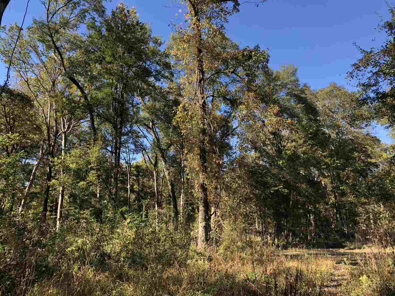 0 Flowers Road Rolling Fork, MS 39159 - Photo 9 of 23 Photo 9