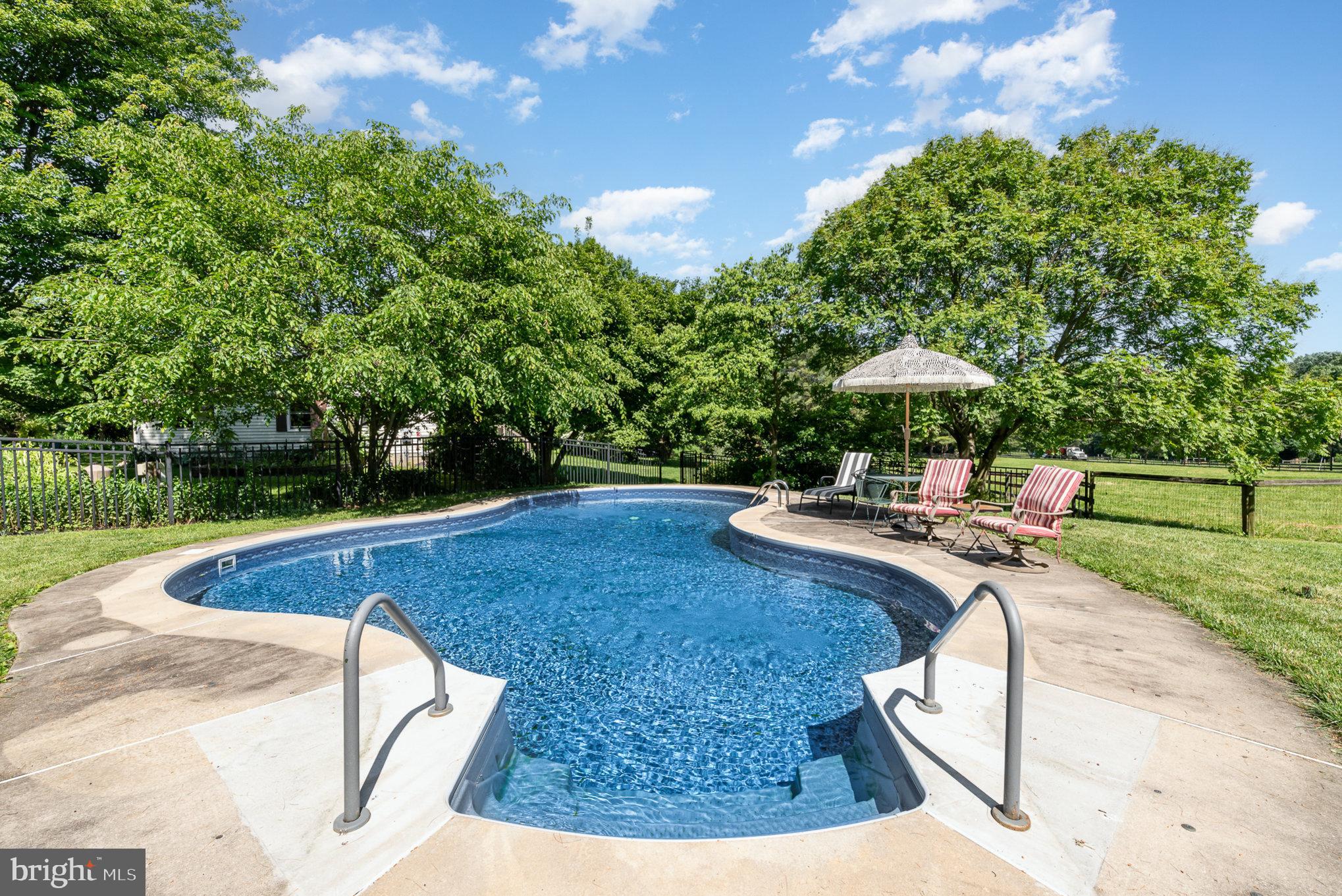 1624 Deep Run Road Whiteford, MD 21160 - Photo 38 of 54 Luxurious Salt Water Pool