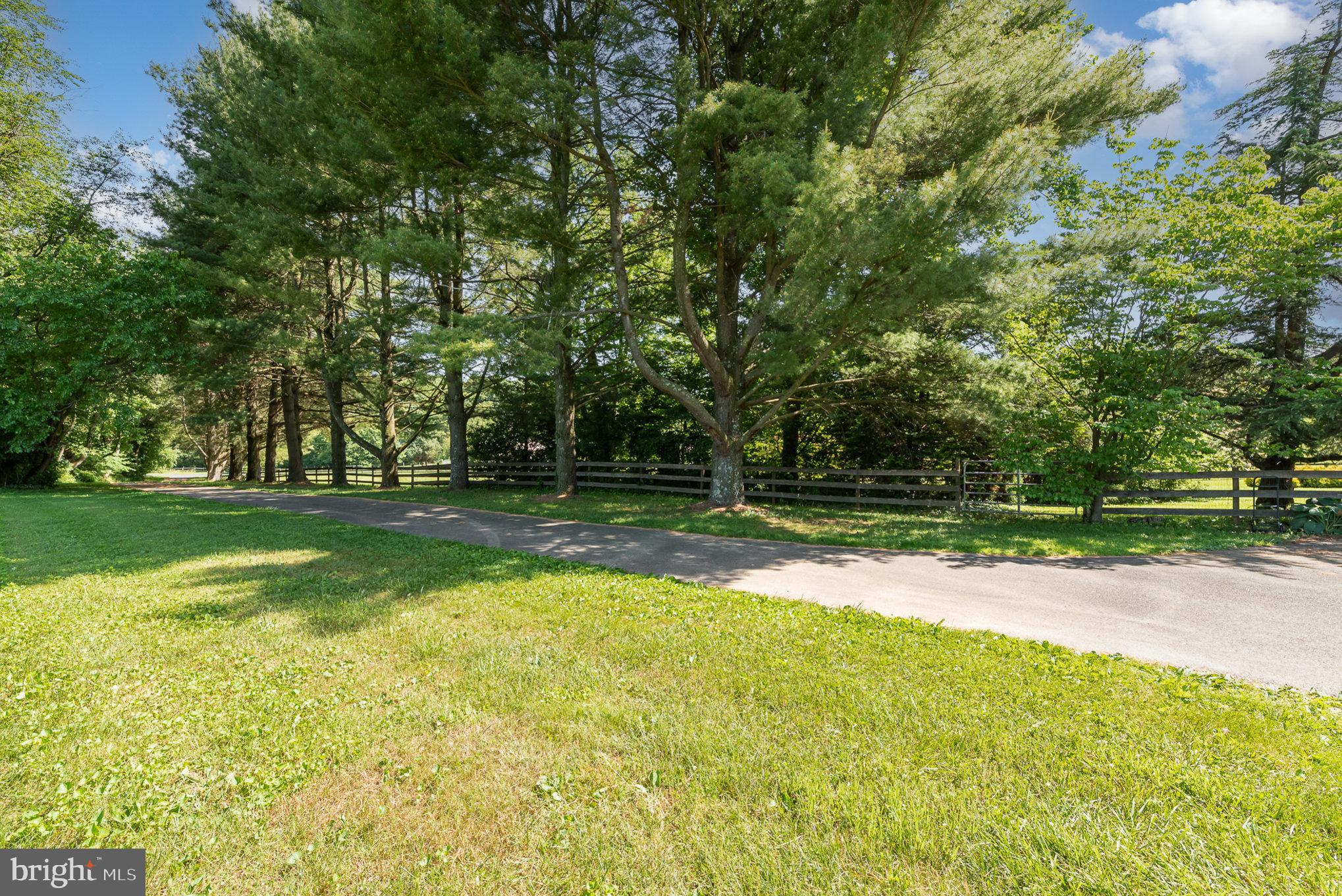 1624 Deep Run Road Whiteford, MD 21160 - Photo 44 of 54 Beautiful Tree-Lined Drive
