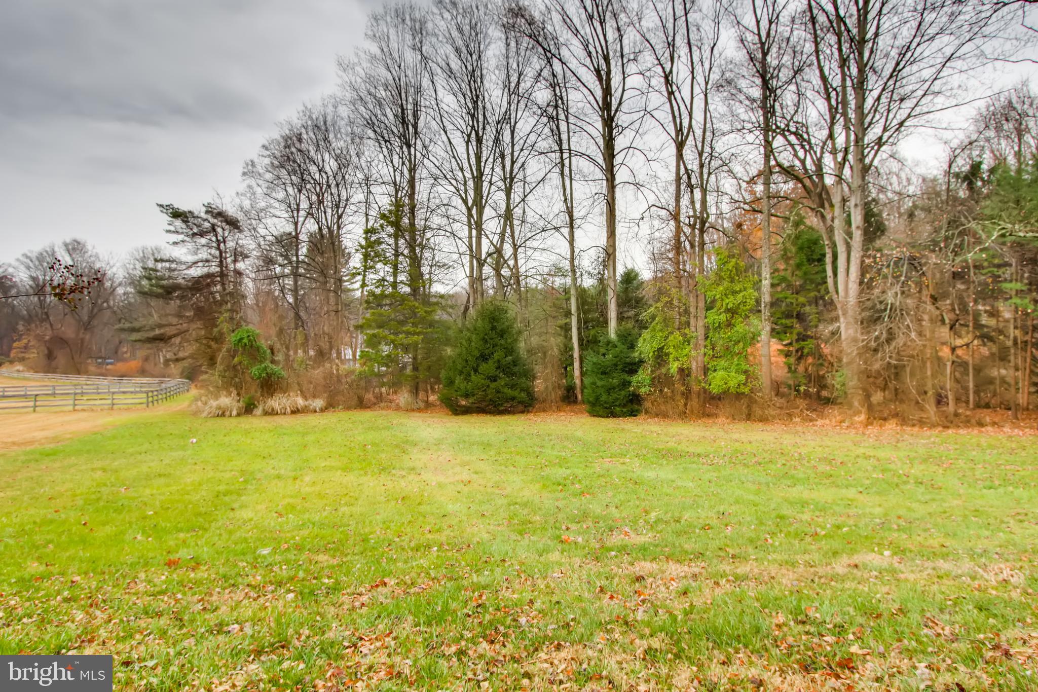 4427 Butler Road Glyndon, MD 21136 - Photo 18 of 27 Tree Lined Backyard