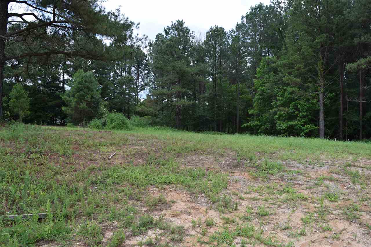 Clay Pond Road Oakland, TN 38060 - Photo 2 of 3 Gallery Image 2