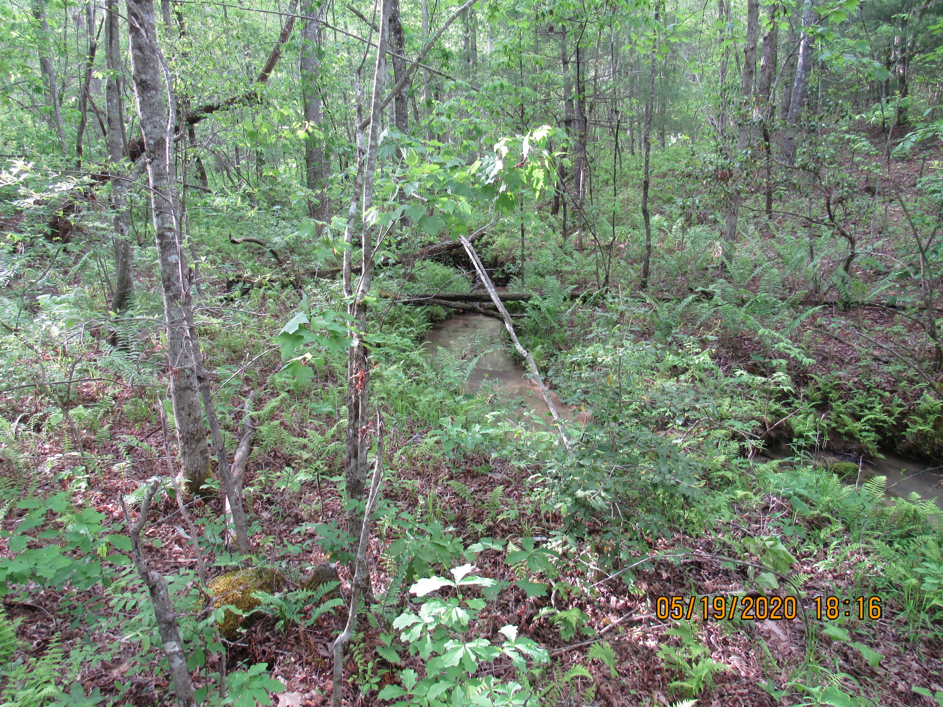42-ac Coon Hollow Road Deer Lodge, TN 37726 - Photo 14 of 40 IMG_2196