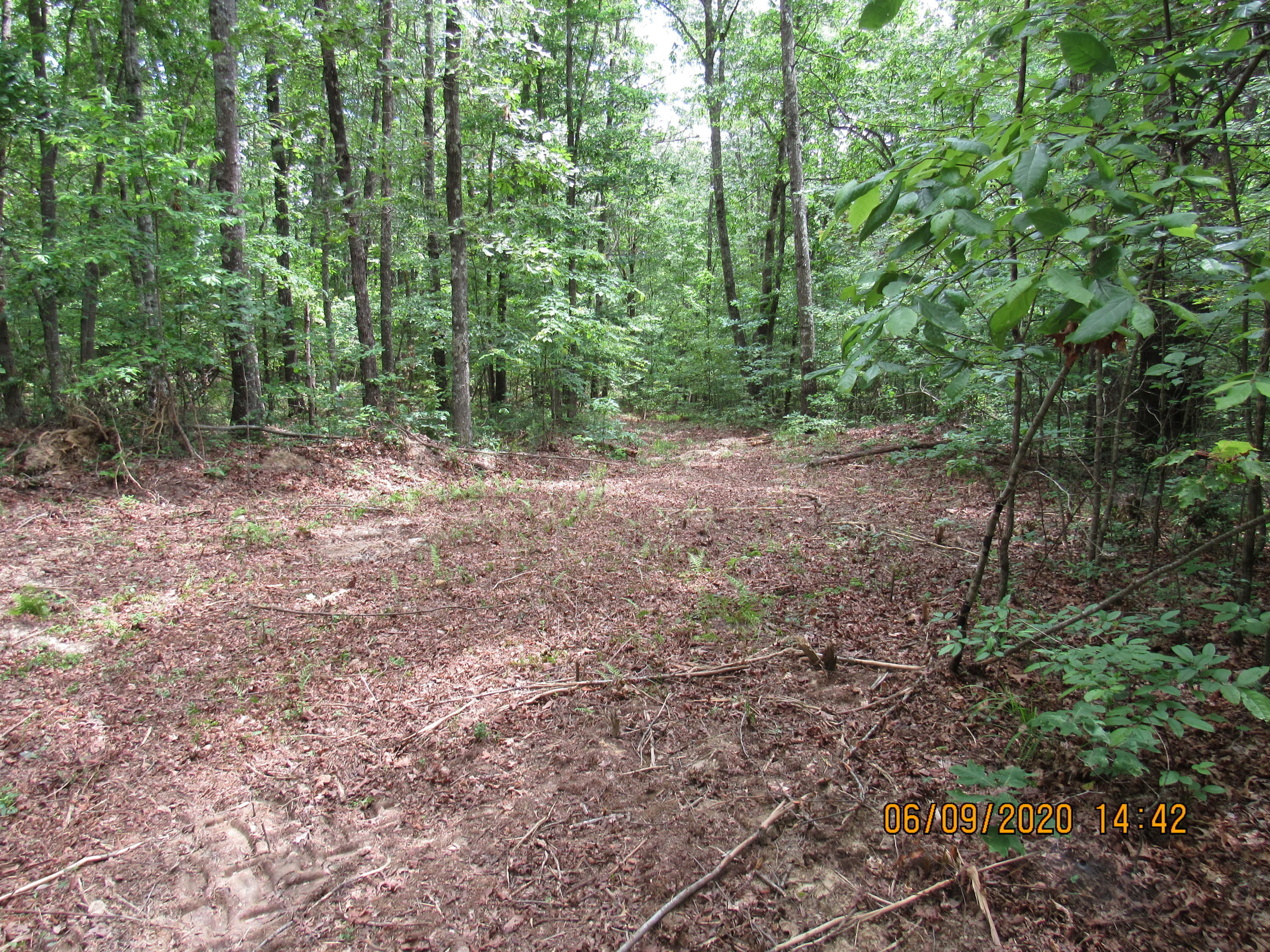 42-ac Coon Hollow Road Deer Lodge, TN 37726 - Photo 22 of 40 IMG_2405