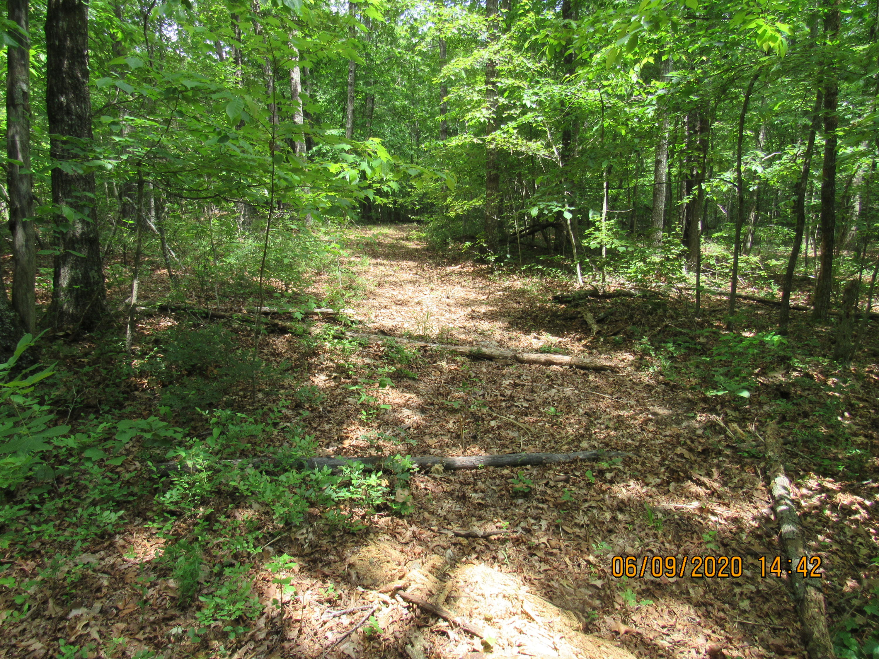 42-ac Coon Hollow Road Deer Lodge, TN 37726 - Photo 23 of 40 IMG_2406
