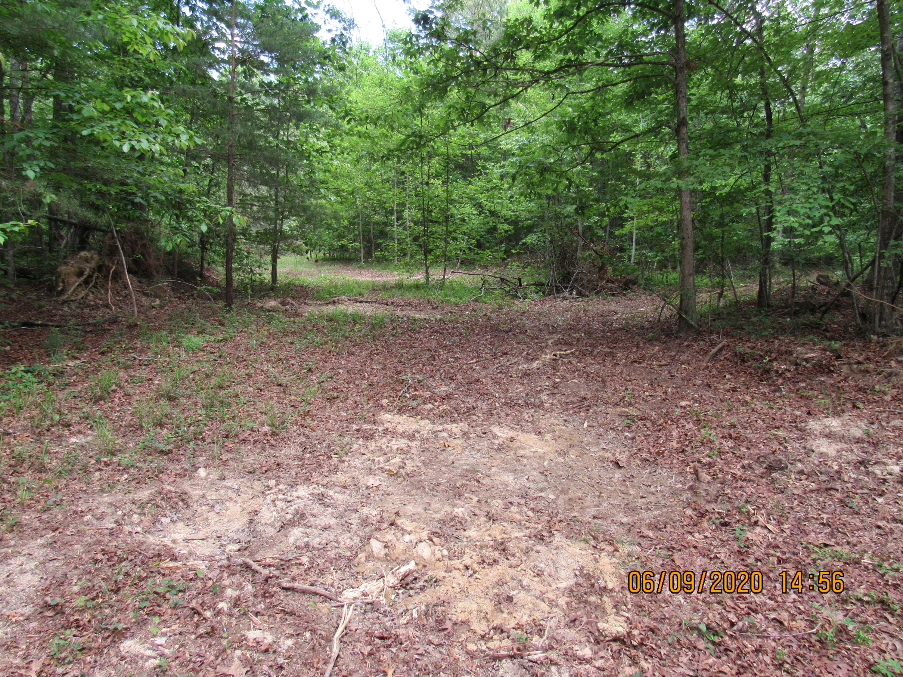 42-ac Coon Hollow Road Deer Lodge, TN 37726 - Photo 34 of 40 IMG_2427