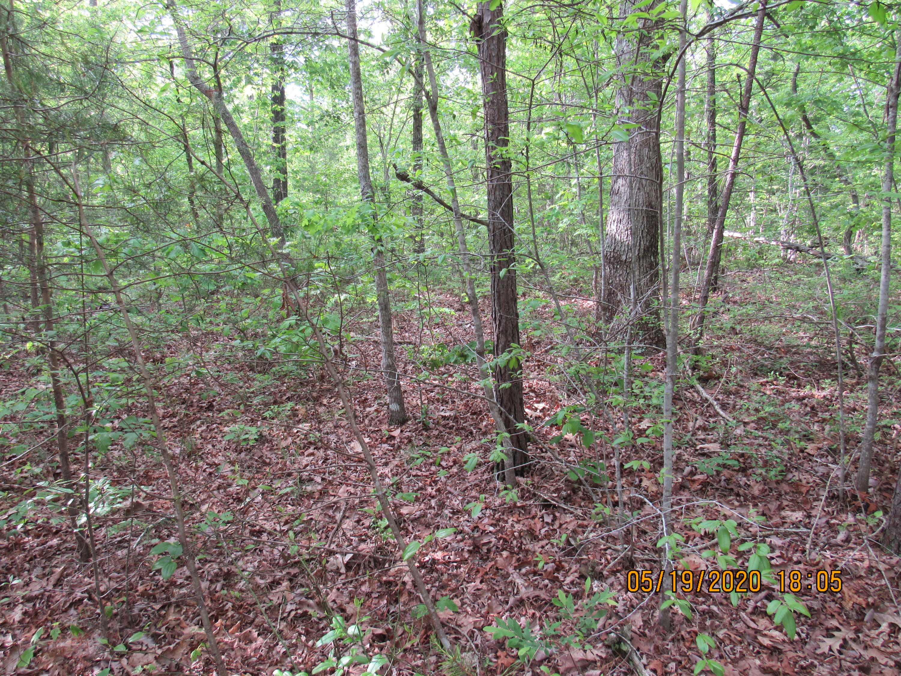42-ac Coon Hollow Road Deer Lodge, TN 37726 - Photo 7 of 40 IMG_2185