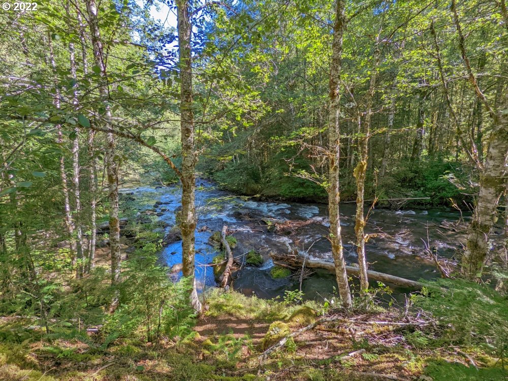 73793 Road 20 East Rhododendron, OR 97049 - Photo 25 of 25 Gallery Image 25