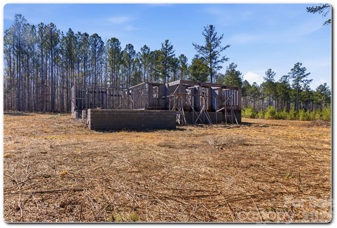 5166 Star Magnolia Court Clover, SC 29710 - Photo 10 of 12