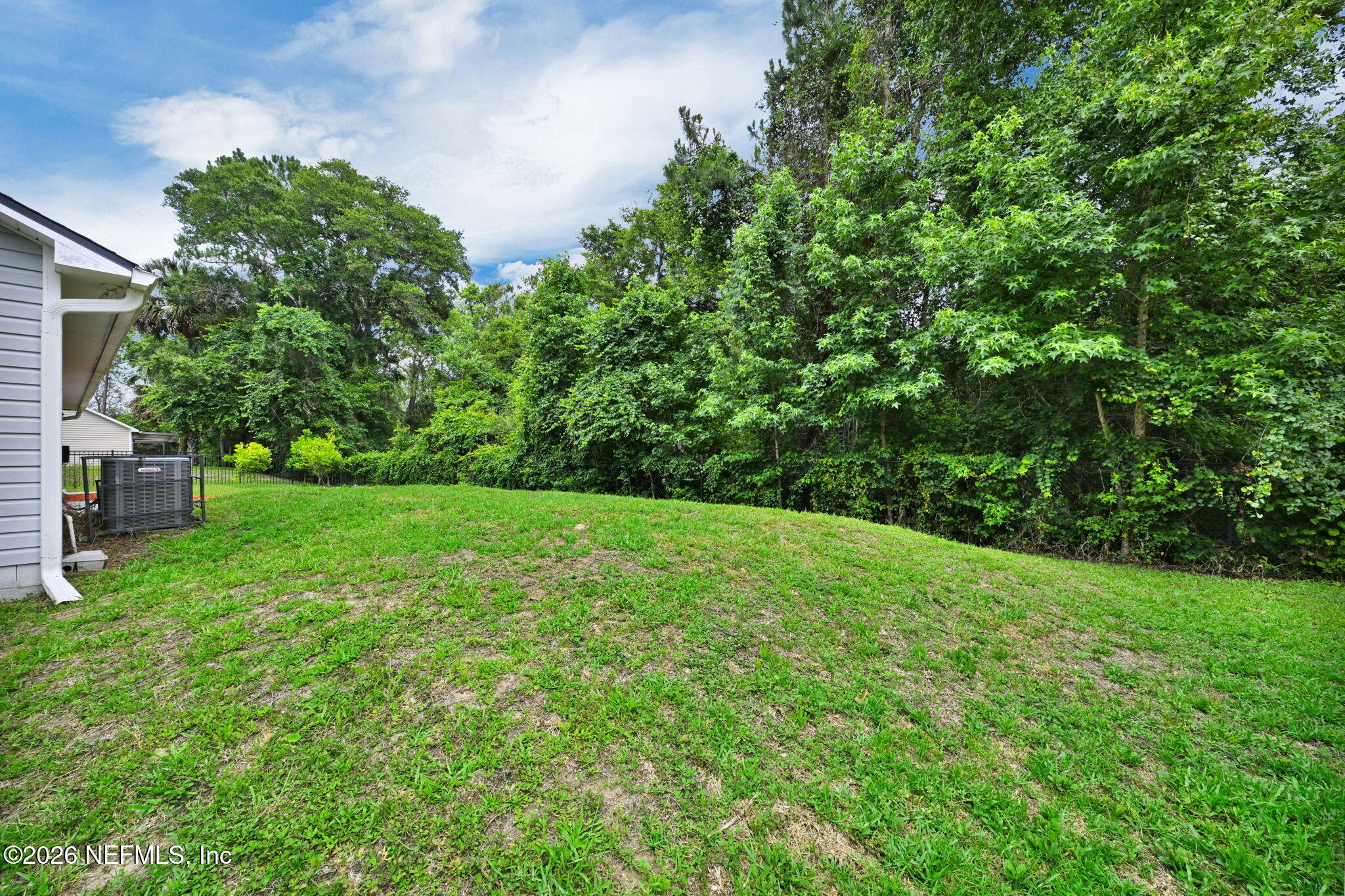1110 Woodlawn Road, Unit D St. Augustine, FL 32084 - Photo 36 of 40 a view of a garden with plants and large trees