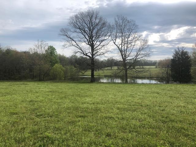 582 Head River Ranch Road Menlo, GA 30731 - Photo 6 of 20