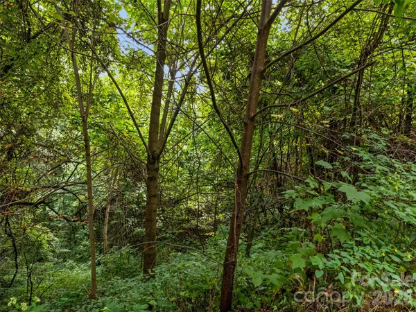 $119,000 | 403 Malin Trail, Waynesville, NC 28786