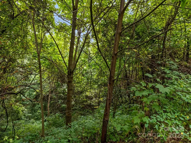 $119,000 | 403 Malin Trail, Waynesville, NC 28786