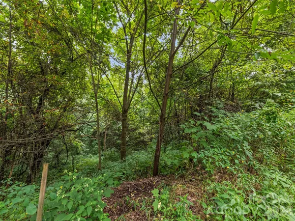$119,000 | 403 Malin Trail, Waynesville, NC 28786