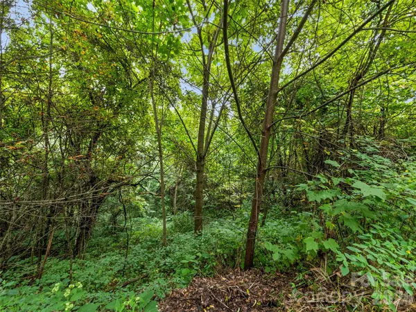 $119,000 | 403 Malin Trail, Waynesville, NC 28786