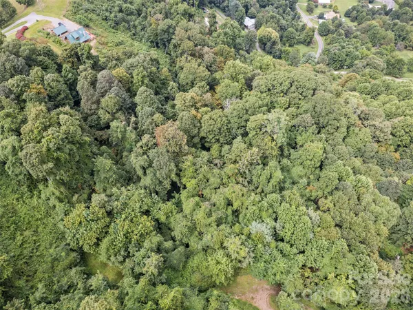 a view of a lush green hillside and houses