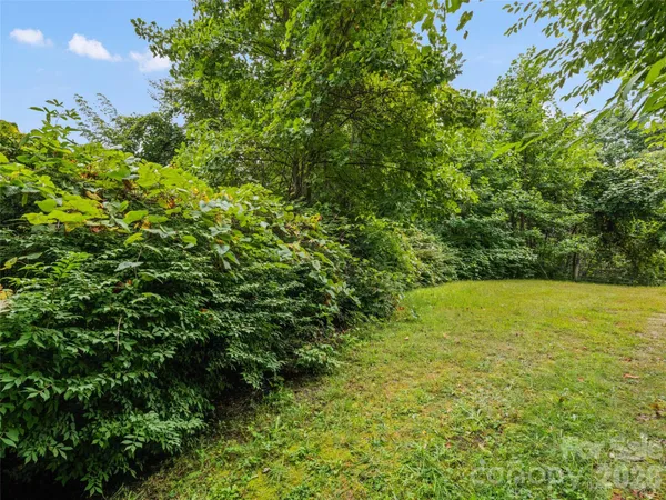 a view of a lush green space