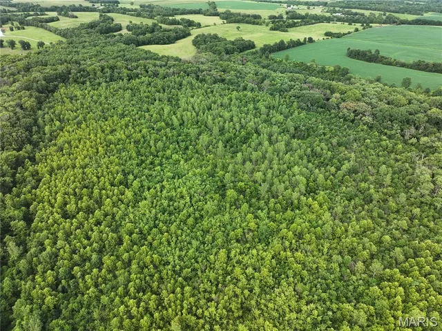 $2,550,000 | Off McAllister Road, Houstonia, MO 65333