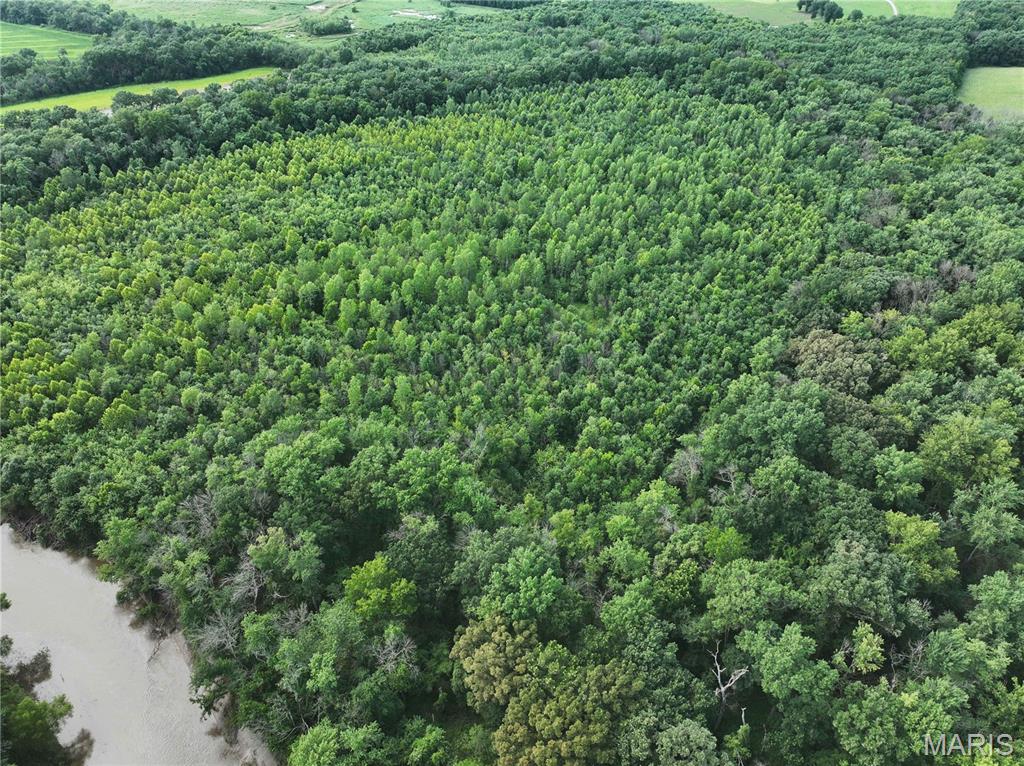 Off McAllister Road Houstonia, MO 65333 - Photo 15 of 26