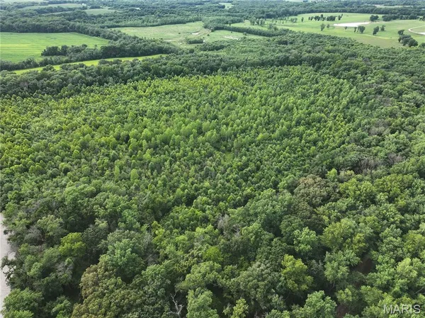 $2,550,000 | Off McAllister Road, Houstonia, MO 65333