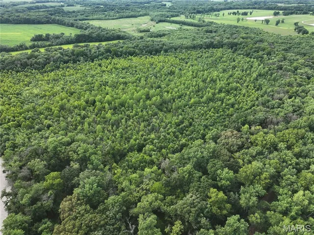 $2,550,000 | Off McAllister Road, Houstonia, MO 65333