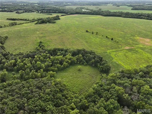 $2,550,000 | Off McAllister Road, Houstonia, MO 65333